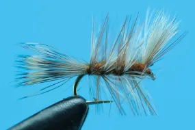 Ausable Bomber