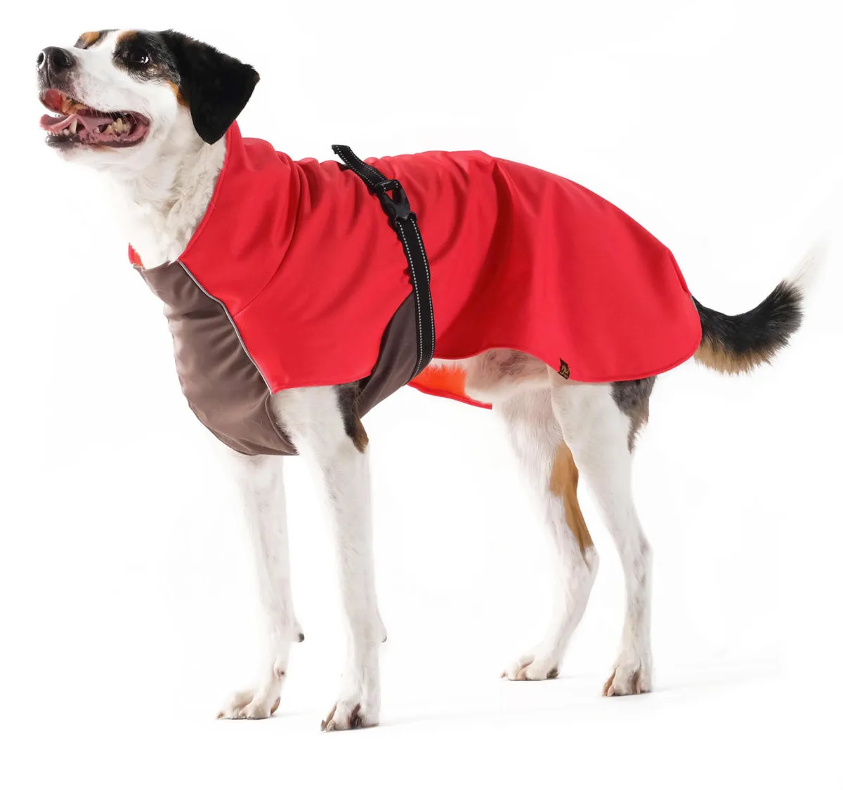 The Rain Paw, raincoat for Dogs, in Red and Graphite